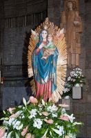 DSC_8426_copia