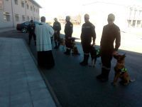 umeperros