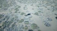 IMG-20181212-WA0006