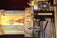 +IMG_2814
