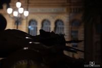 IMG_9600