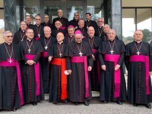 Monseñor Juan Antonio Aznárez, Arzobispo Castrense de España, asiste hoy a la audiencia del Santo Padre