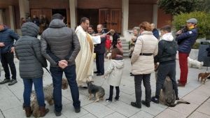 Bendición de mascotas en la parroquia de Santa María de la Dehesa