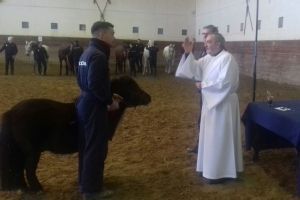 Festividad de San Antonio Abad en la Jefatura Superior de Policía de Andalucía Occidental