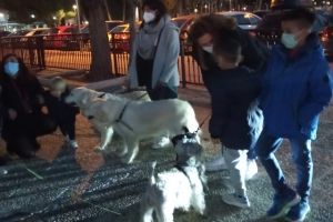 Bendición de los animales en la Parroquia Castrense Nuestra Señora de Loreto de Alcalá de Henares